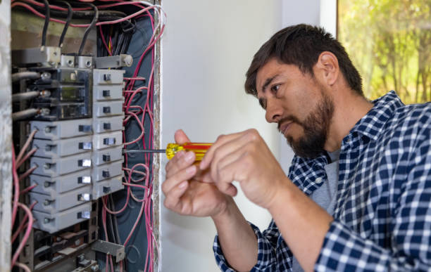 Best Electric Panel Repair  in Ignacio, CO